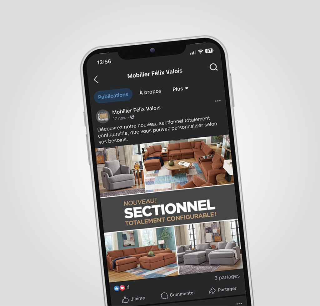 Visuels réseaux sociaux - Mobilier Félix-Valois