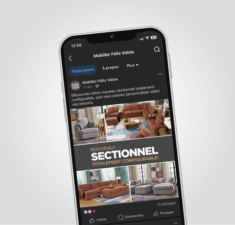 Visuels réseaux sociaux - Mobilier Félix-Valois