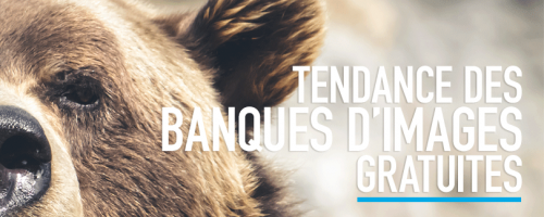 Tendance des banques d’images gratuites