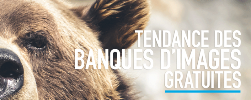 Tendance des banques d’images gratuites